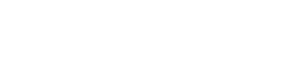 Logo-Payvalida-Blanco-png